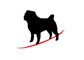 El Concilio de Puerto Rico de Scouting America Adopta Black Pug para la Administración y Registro de Eventos Scouts