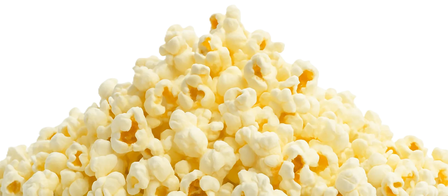 Popcorn de Scouting America